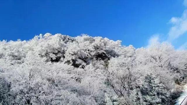 结婚后要不要和父母同住？游戏画面